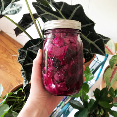 Fermenting Your Own Veggies