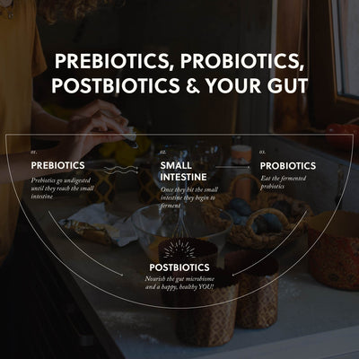 Prebiotics, Probiotics, & Postbiotics
